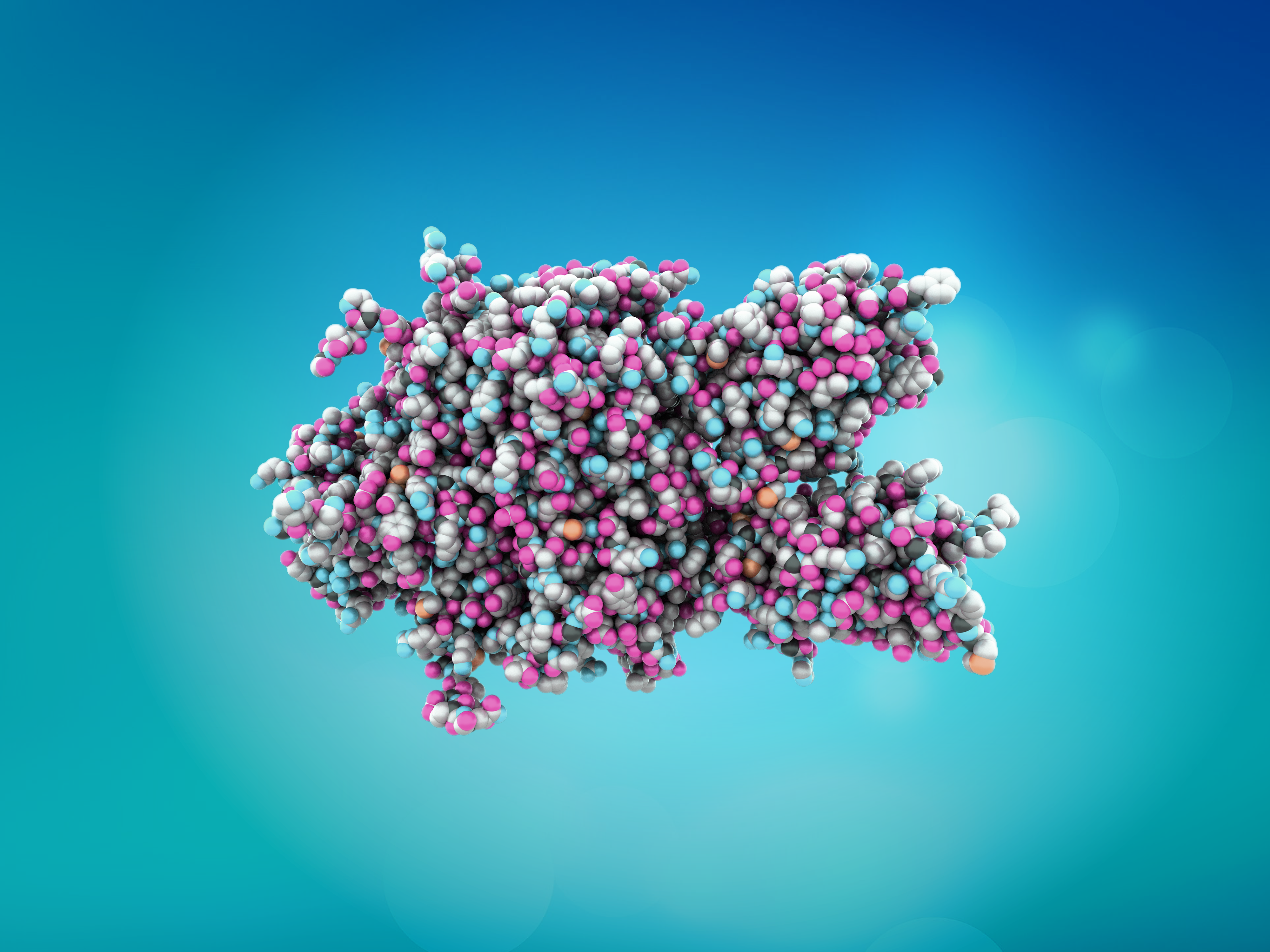 Bayer banner smaller protein