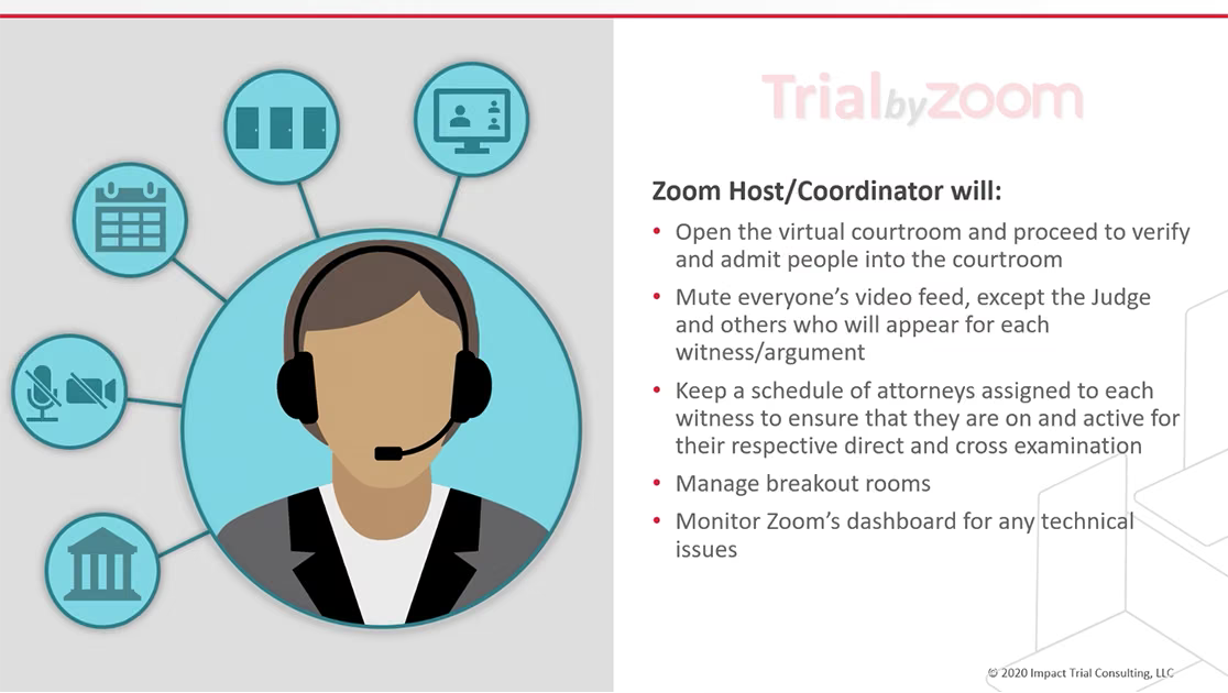 TrialByZoom infographic