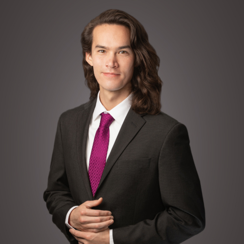 Christian Wong, Software Developer