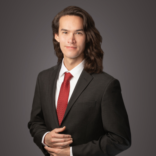 Christian Wong, Software Developer